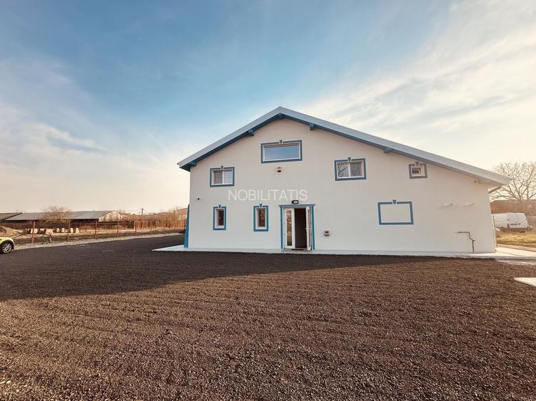 HALA - depozitare | productie | birouri - 2