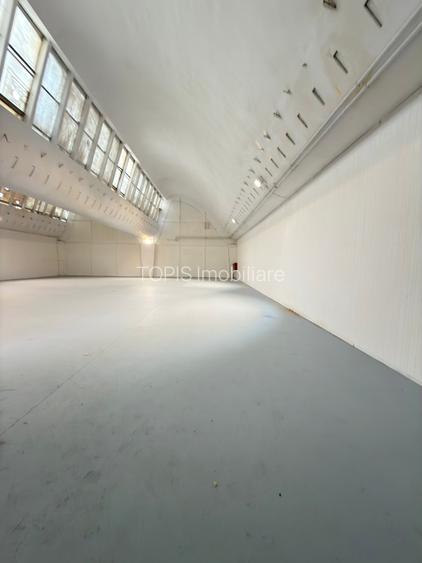 Pantelimon / Republica - Spațiu Industrial / Producție / Depozitare - 3