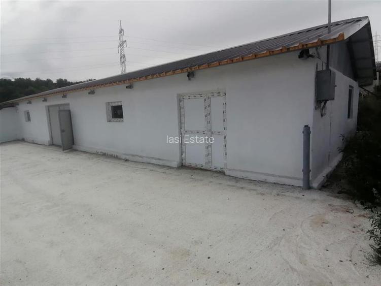 Hala 550mp zona Lunca Cetatuii - Dumbrava - 5