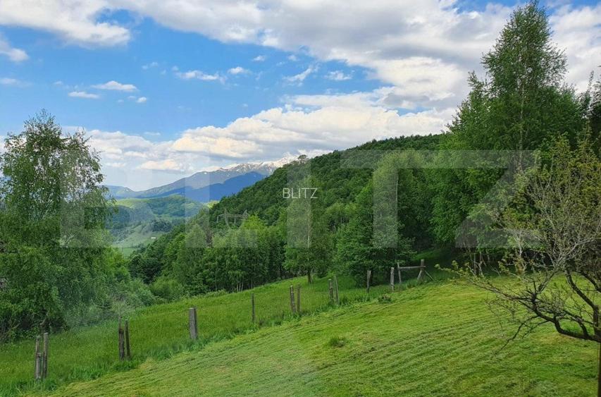 Casa de vacanță, pretabilă pentru pensiune în Moieciu - 2