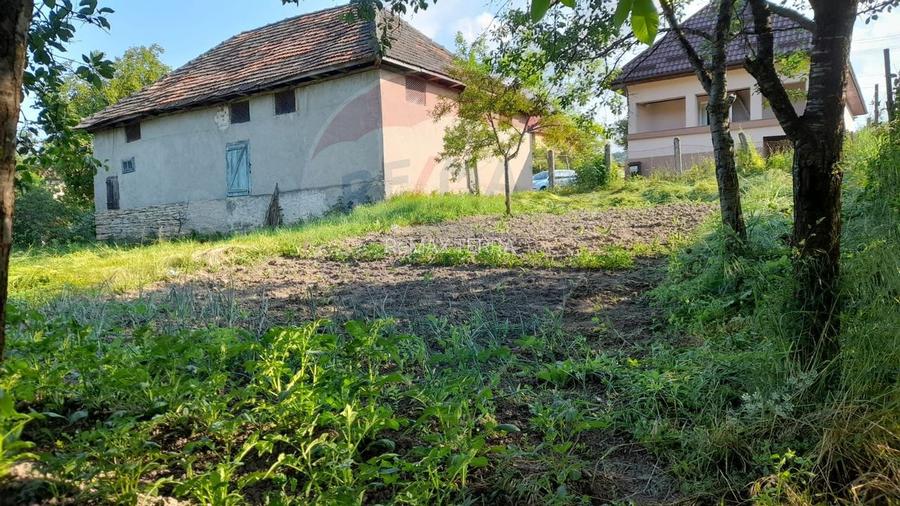 DE VANZARE- GOSPODARIE cu 95 arii teren - 3