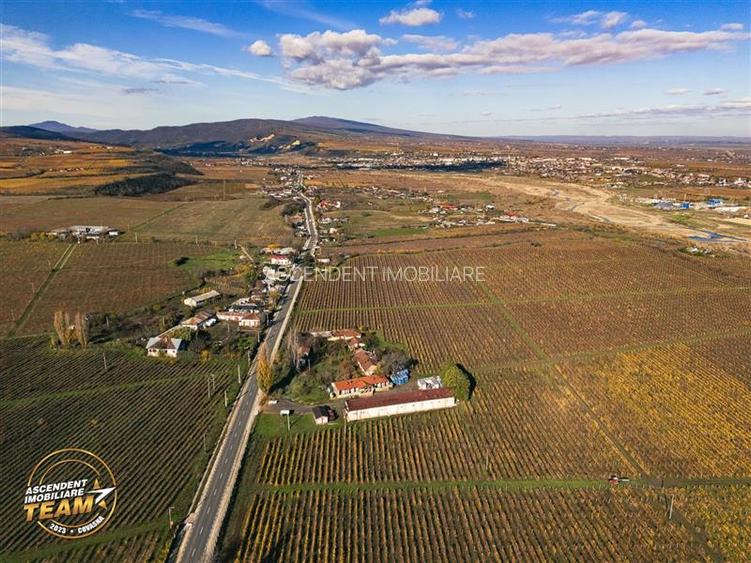 FILM! Casa boieresca autentica,domeniu de 4.000 mp intravilan,in podgoriile Odob - 17