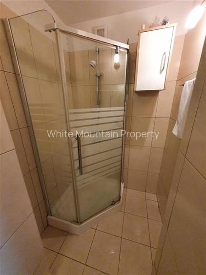 Aviatiei, apartament 3 camere - 19