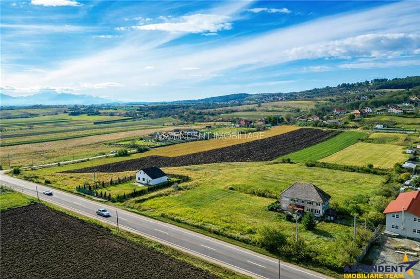 Proprietate remarcabila: 32.000mp teren, acces direct DJ112,Ilieni,Covasna - 4