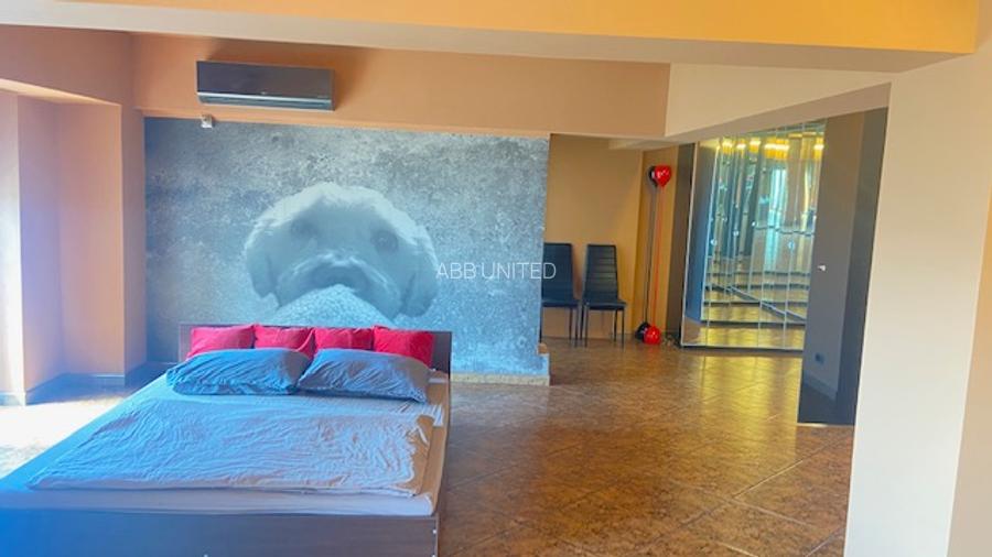 Bd. Unirii 5 camere Loft ! - 13