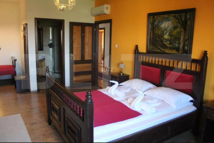 Conac de vanzare 7 camere cu bai proprii, crama, ciubar si potential  - 12