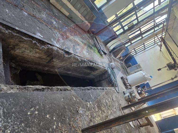 Spațiu industrial 15435 mp. de vânzare in Tinca. - 13