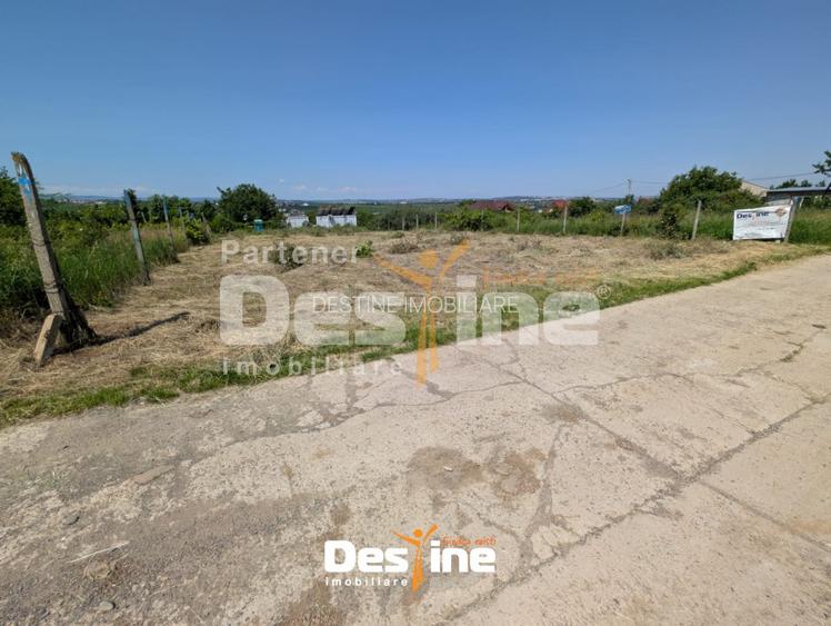 Bârnova - Teren Intravilan 974 Mp, utilitati, drum betonat - 8