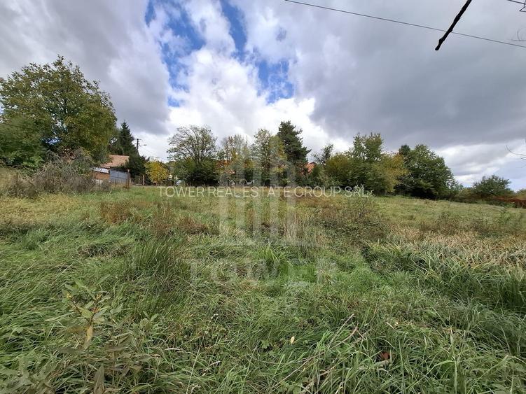 Teren intravilan cu Puz si priveliște deosebită, spre Cetatea Cisnădioara - 2