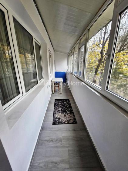 Campia Libertatii-Gheorghe Petrascu - 18