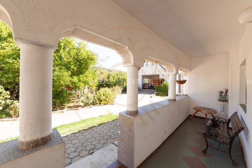 Casa visurilor cu livada roditoare si gradina amenajata Darmanesti-Arges - 8