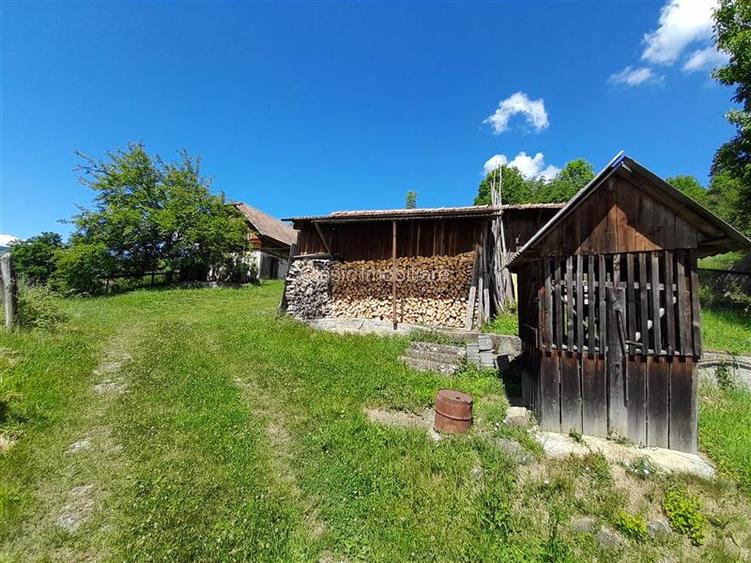 Vanzare casa cu anexe si 5500 mp teren, Valea Ariesului, Salciua - 8