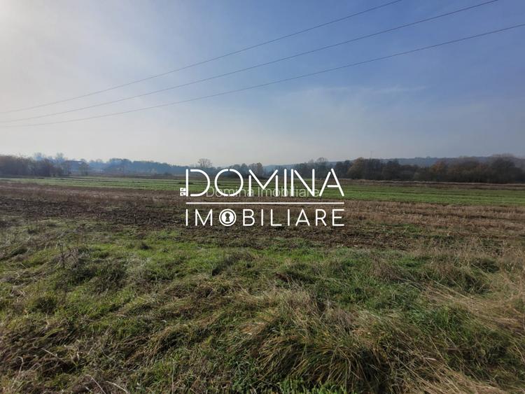 Vânzare teren intravilan - 2518 mp - strada Amurgului - Ursați - 5