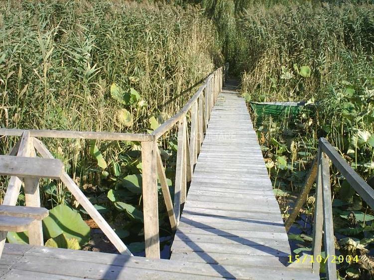 Refugiu Premium în Snagov Sat: Vilă cu 5 Dormitoare și Grădină de Poveste - 8