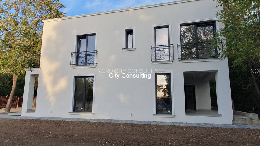 Vanzare vila la Lac Buftea - 5