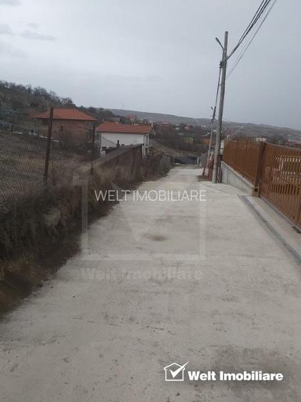 Teren de vanzare, 2864 mp, Dambul Rotund - 6