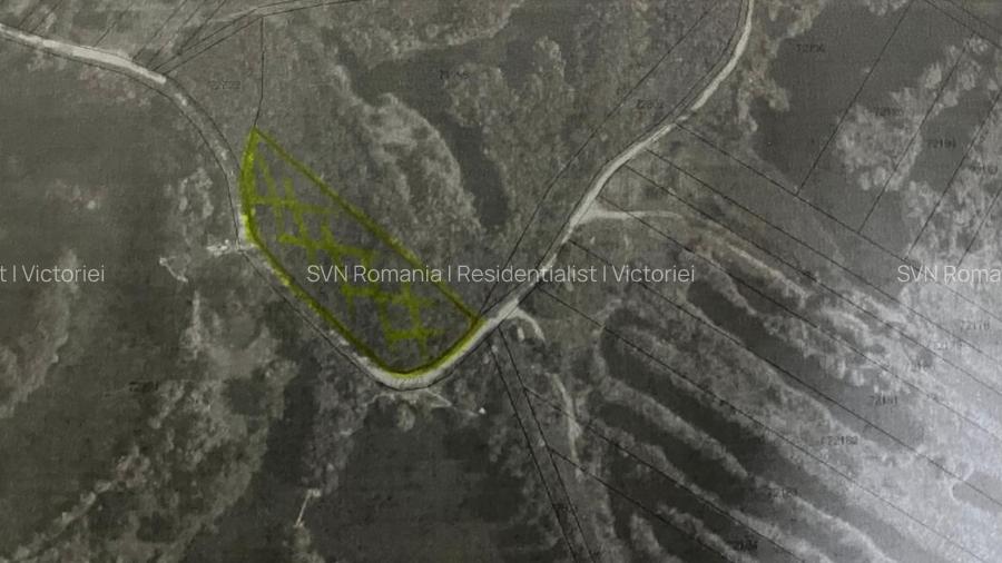 REL4001268 Teren extravilan padure 6000 euro vizavi Insula Crabilor - 5