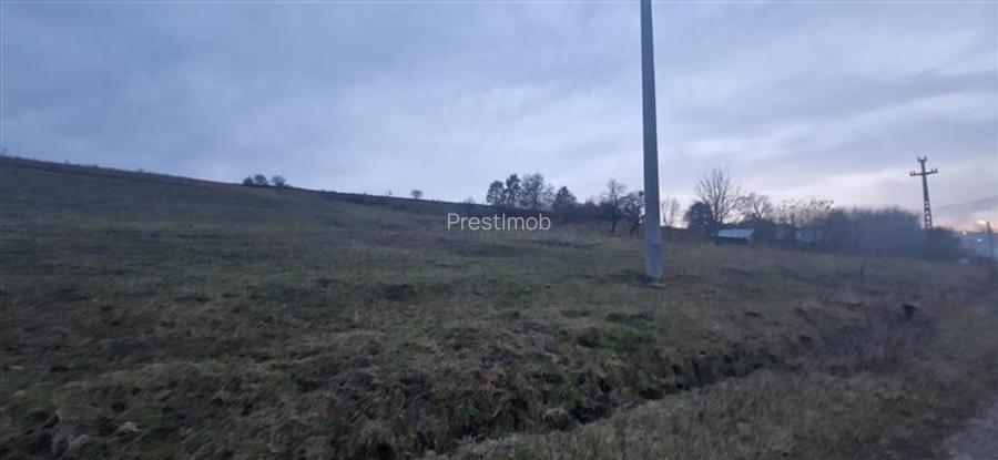 De vanzare teren 1,2 Ha in Laureni - 6