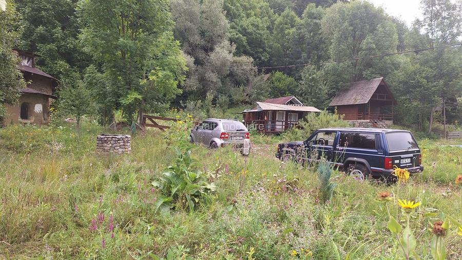 VANZARE ANSAMBLU CASUTE BRADULET ARGES - 19