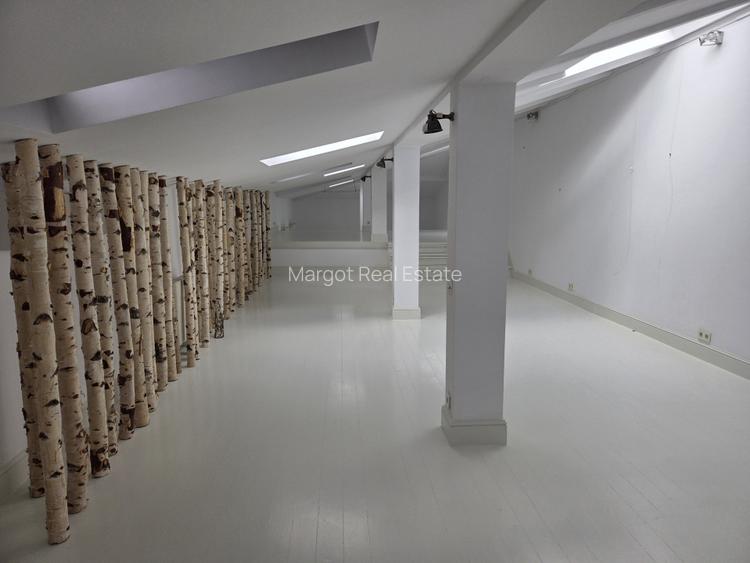 Vila interbelica de inchiriat/pretabila activitati comerciale/Victoriei - 17