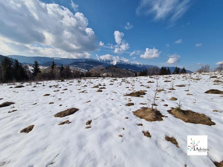 Teren De Vanzare In Sirnea - 27