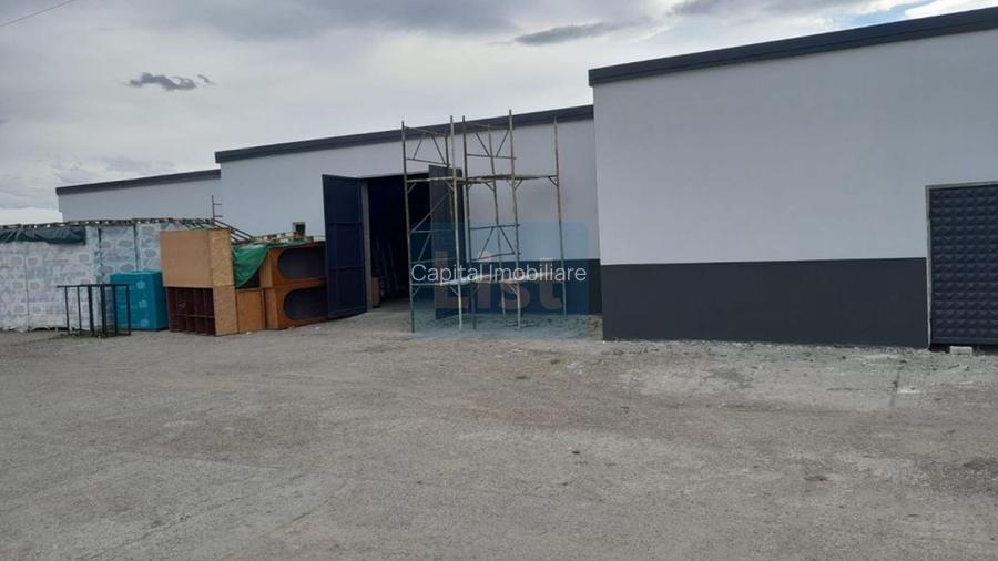 Spatiu industrial de vanzare, 8120 mp, Neamt - 12