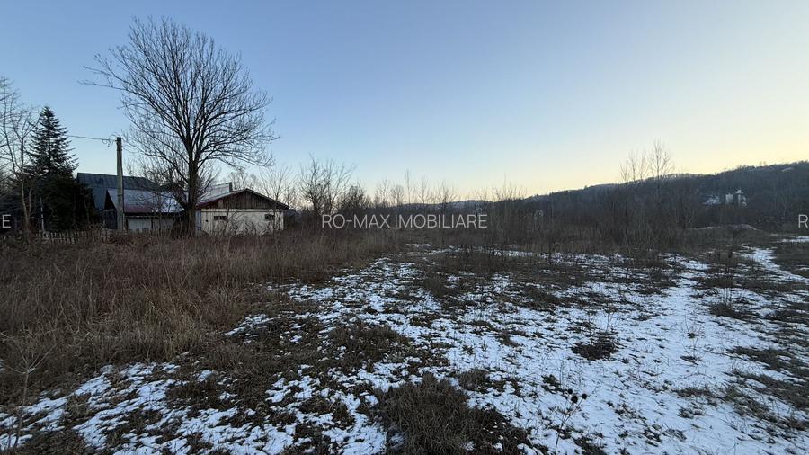 Teren intravilan construcții 10834 mp + construcție- cabană lemn! - 3