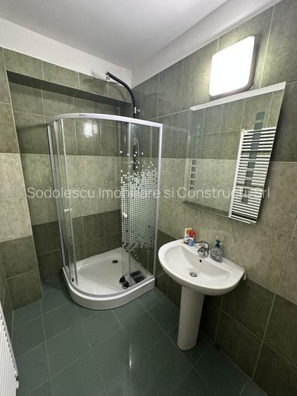 Proprietate cu piscina Dumbravita - 24