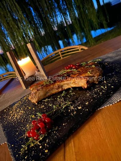 Proprietate exclusivista ideala ca proiect pentru investitie!! - 11