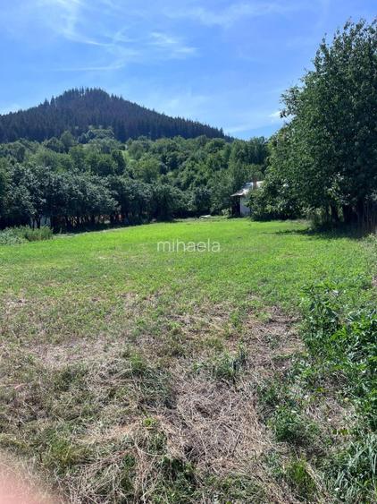 Vânzare teren intravilan lângă Piatra  Neamt - 2