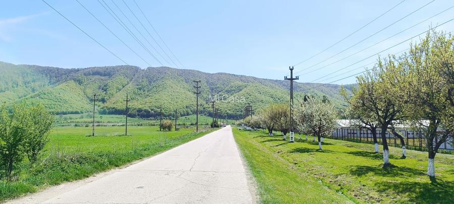 Teren industrial in Brasov-zona Magurele - 6