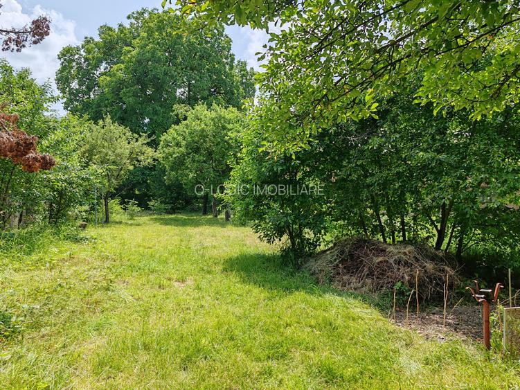 Casa 4 camere la intrare SACELE - 24