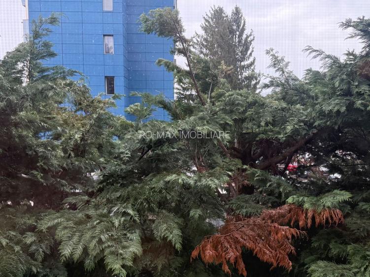 Garsonieră 24 mp - renovată, mobilată și utilată complet - Campina - 12