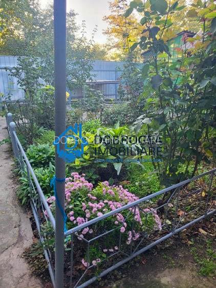 MINERI -CASA 4 CAMERE , SUPRAFATA CONSTRUITA  126MP, TEREN 1462 MP - 6