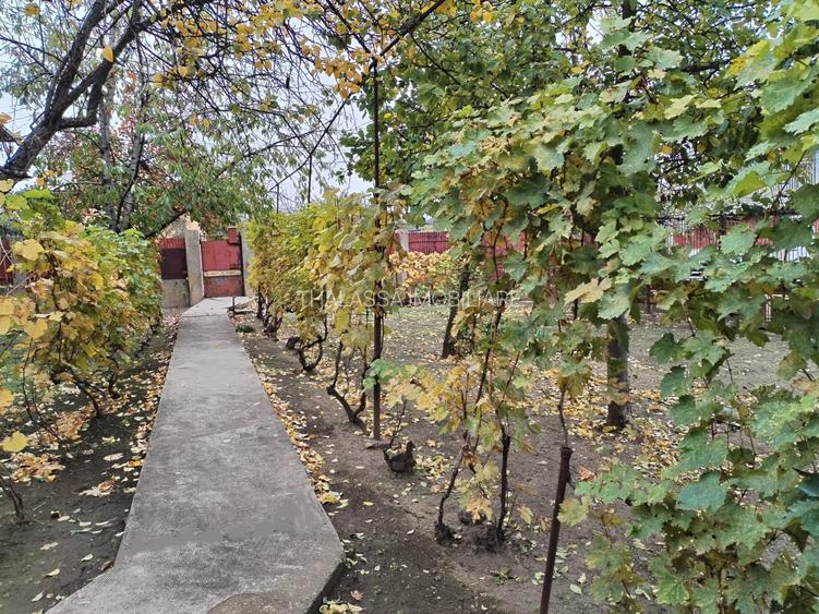 Casa cu teren -  central Segarcea - 3