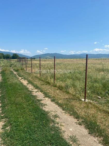 Teren  intravilan cu PUZ 30.000 mp Prejmer - 4