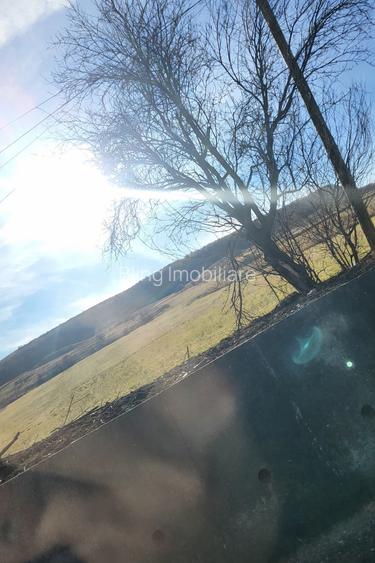 Teren intravilan, 5100 mp, toate utilitatile trase la parcela, Mera - 2