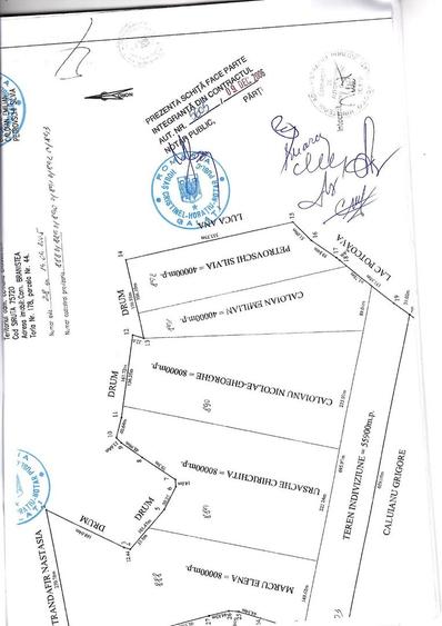 De vanzare 8 ha teren arabil extravilan Branistea, 11.000euro/ha negociabil - 3