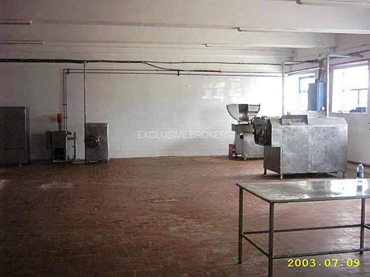 TEREN si constructii industriale-fost abator Mandresti - 9