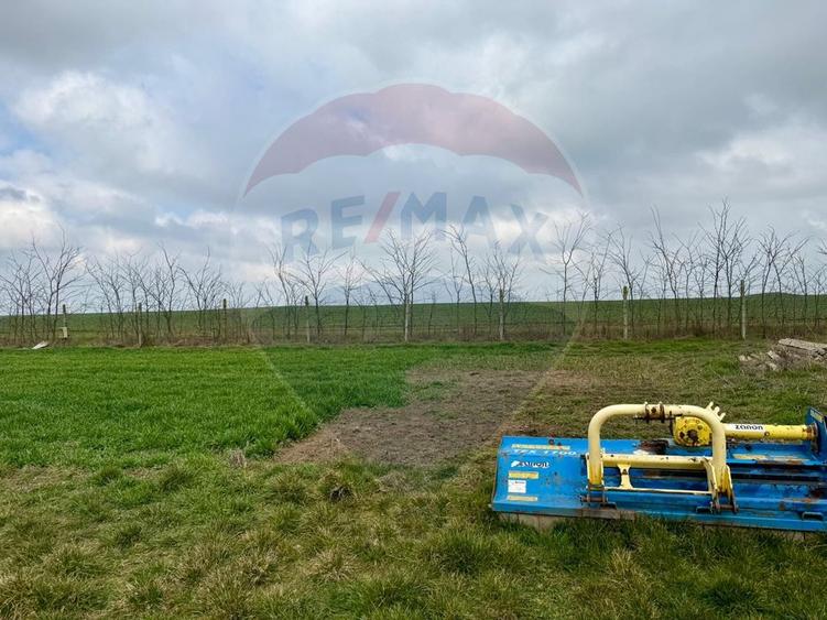 Teren de vanzare in Săcele ideal pentru silozuri, fermă 6 ha