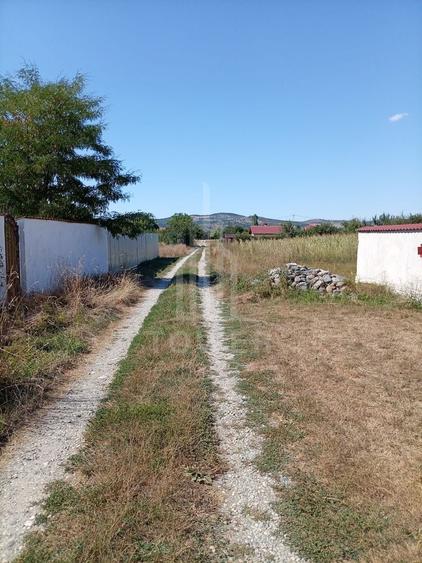 Teren intravilan de vânzare în Avrig | 1.000 mp | PUZ aprobat