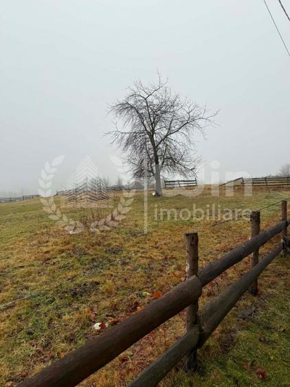 Teren intravilan ideal pentru investitie 1716mp | Front 38m | Marisel