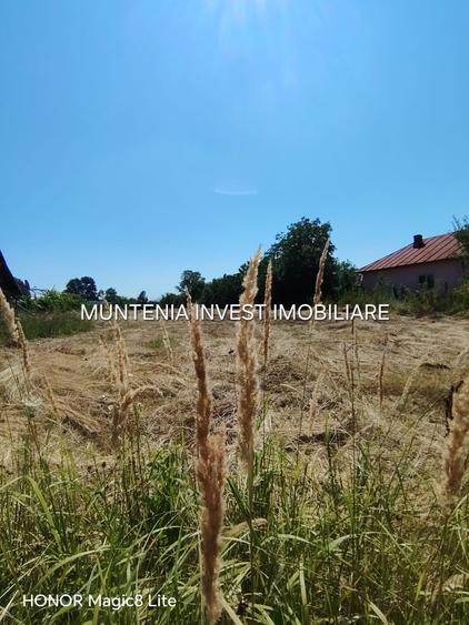 Teren intravilan 4405 mp. Poiana Lacului