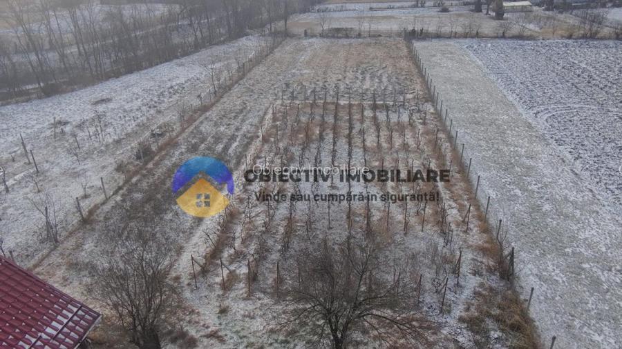  Casa batraneasca  + teren 2089 mp , Slobozia - Roznov, jud. Neamt  - 3