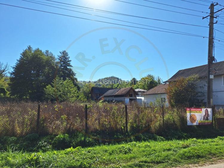 Teren Vacarea ,Mihaiesti , Arges - 5381 mp - 2