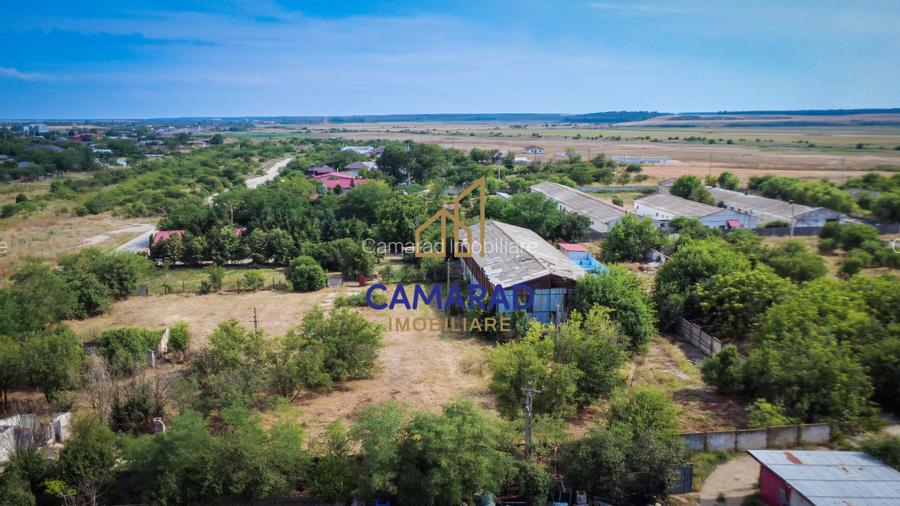 Teren 9000 mp intravilan-casa-hala in Fundeni-Calarasi ideal investitie - 4