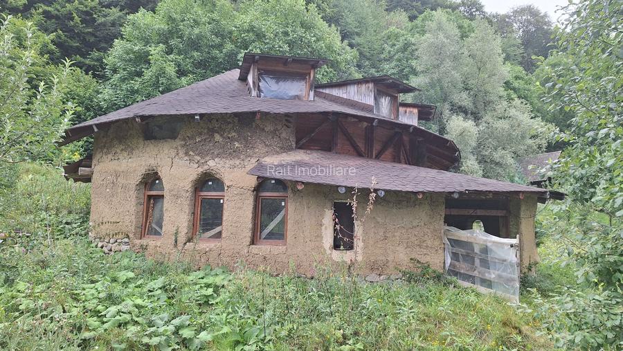 VANZARE ANSAMBLU CASUTE BRADULET ARGES - 16