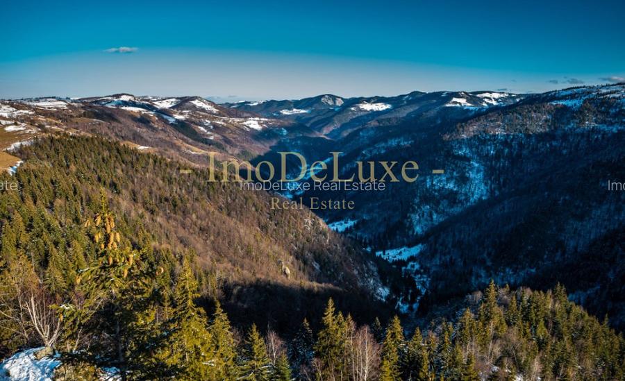 Teren extravilan, 3.4 hectare, priveliste, padure, utilitati, in Marisel - 8