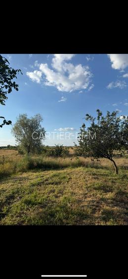 🏡 Casă de vânzare în satul Cruceni - 15