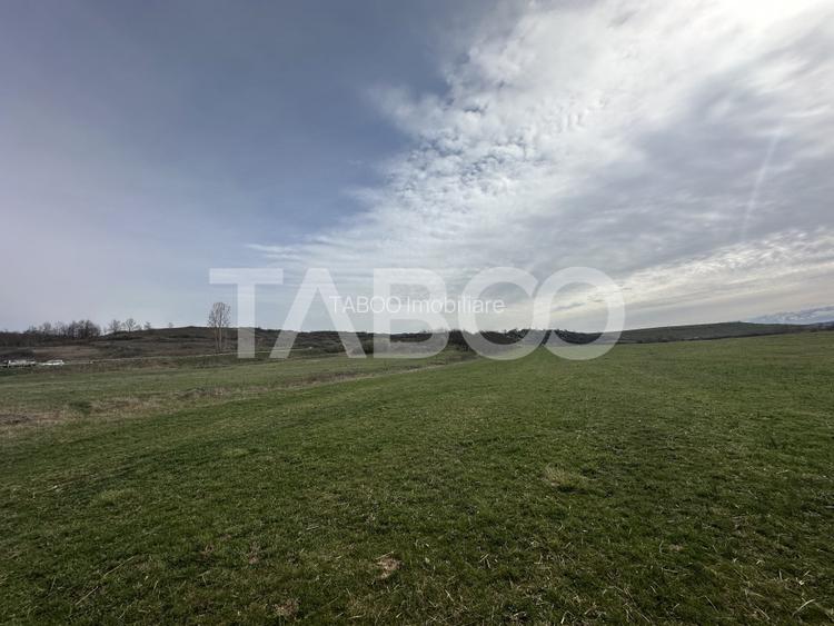 Teren 23.486 mp, deschidere 80 m, ideal comercial/industrial - 2